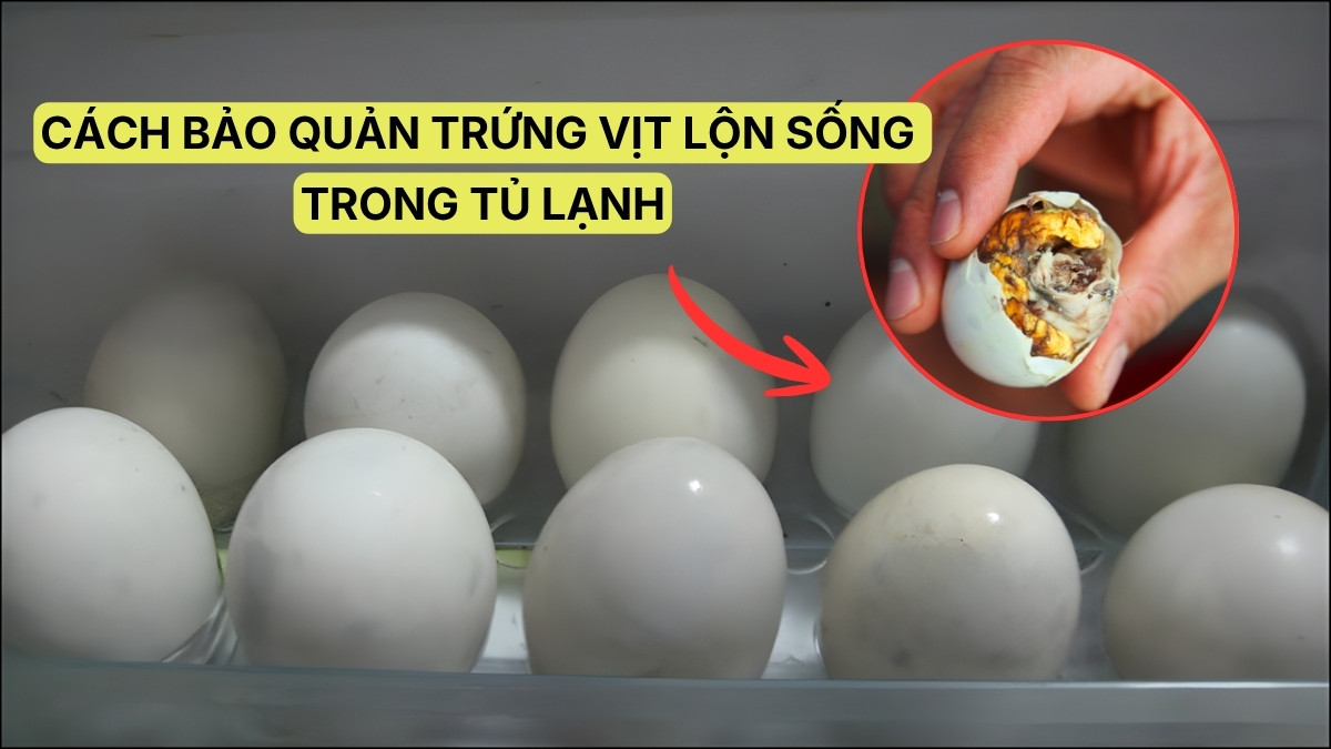 Cách bảo quản trứng vịt lộn sống trong tủ lạnh tươi ngon lâu
